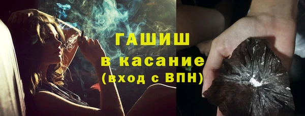 СК Пересвет