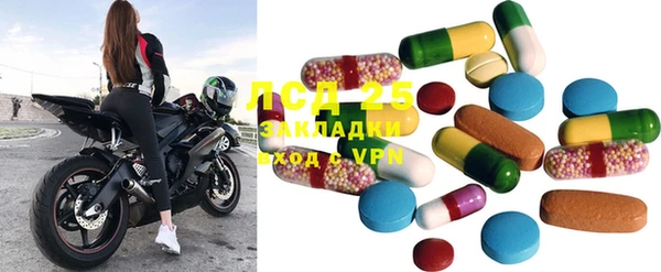 PSILOCYBIN Покров