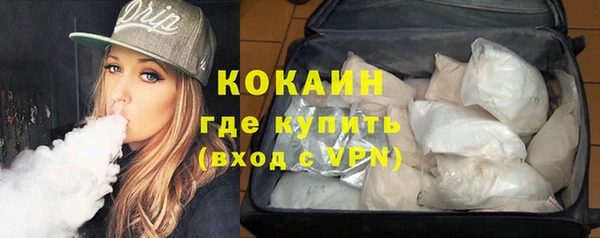 PSILOCYBIN Покров