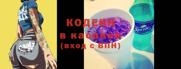 СК Пересвет