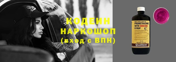 СК Пересвет