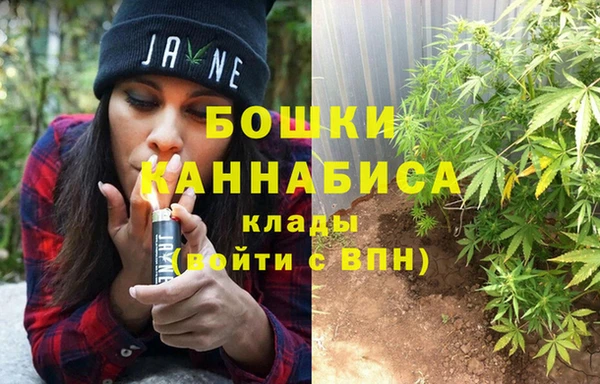 каннабис Курчалой