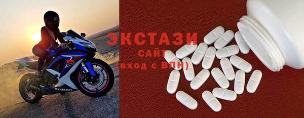 СК Пересвет