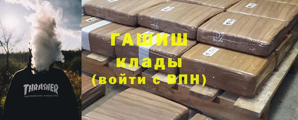 СК Пересвет