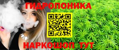 мяу мяу мука Бузулук