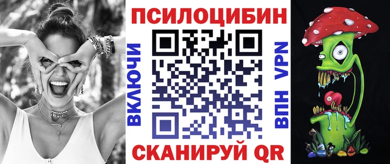 даркнет телеграм  Магадан  Псилоцибиновые грибы Cubensis 