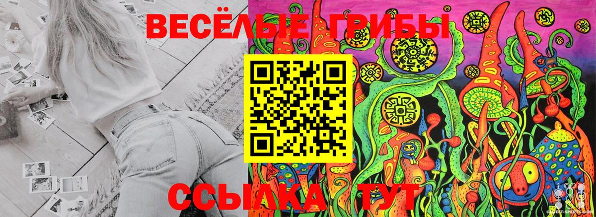 Псилоцибиновые грибы Psilocybe  Магадан 