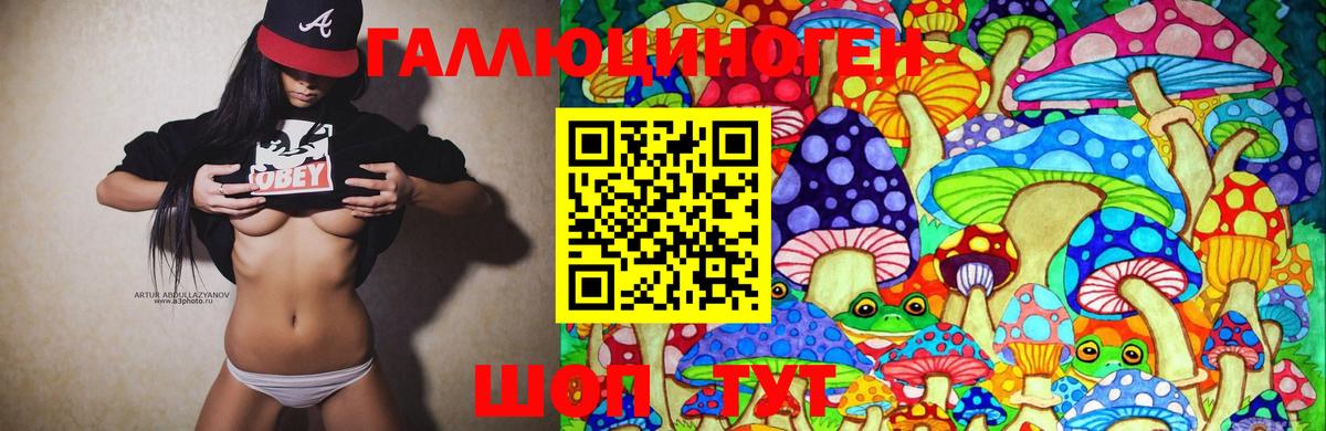 Галлюциногенные грибы Cubensis  Вход с VPN  Магадан 