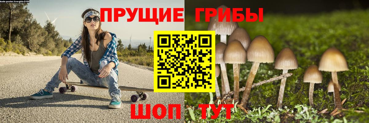 Псилоцибиновые грибы Psilocybe Магадан